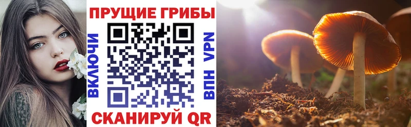 даркнет сайт  дарк нет состав  Псилоцибиновые грибы ЛСД  Бавлы 
